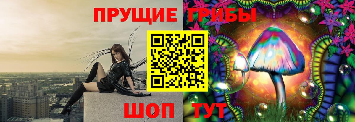 Псилоцибиновые грибы Cubensis  Вход с VPN  Чусовой 